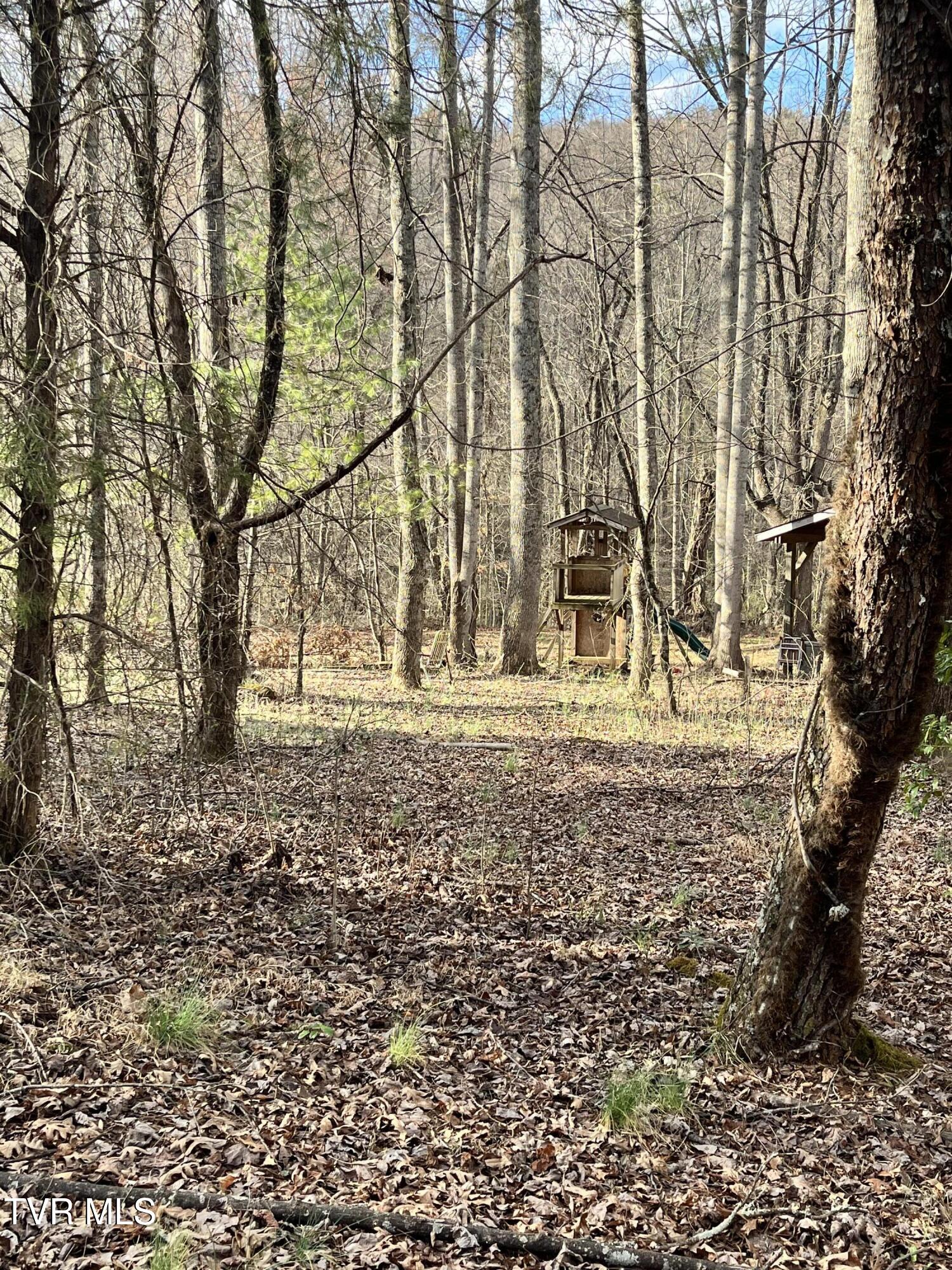 179 Carl Taylor Road Elizabethton, TN 37643 - Photo 24 of 31 Land-Play set