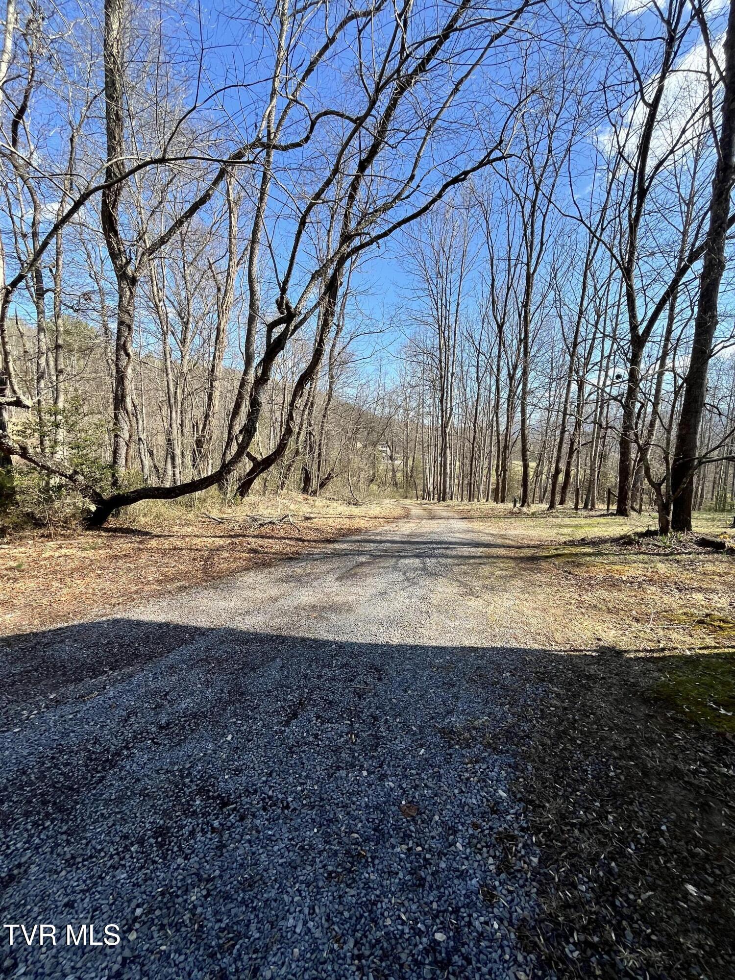 179 Carl Taylor Road Elizabethton, TN 37643 - Photo 3 of 31 Driveway