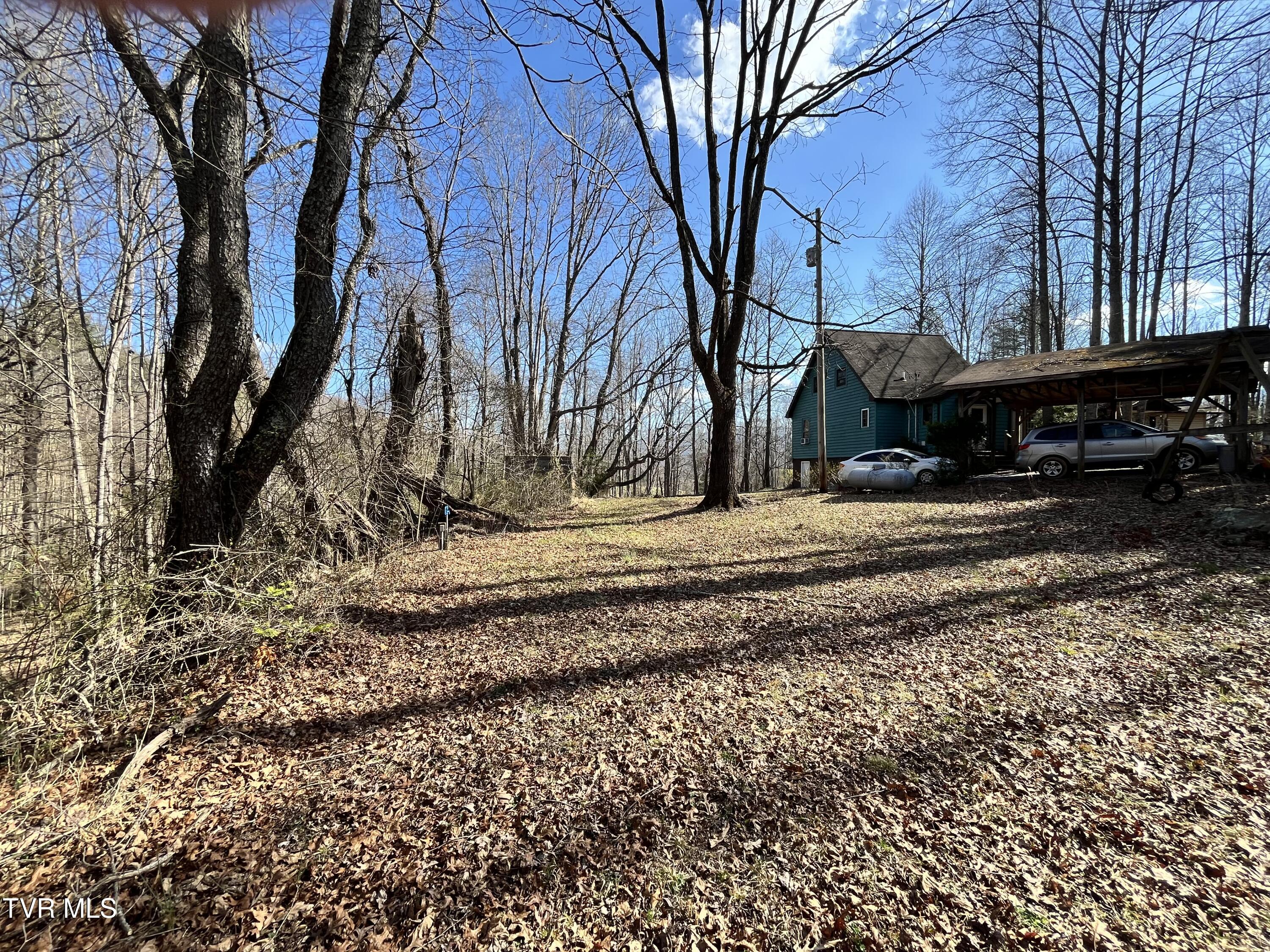179 Carl Taylor Road Elizabethton, TN 37643 - Photo 6 of 31 Front yard