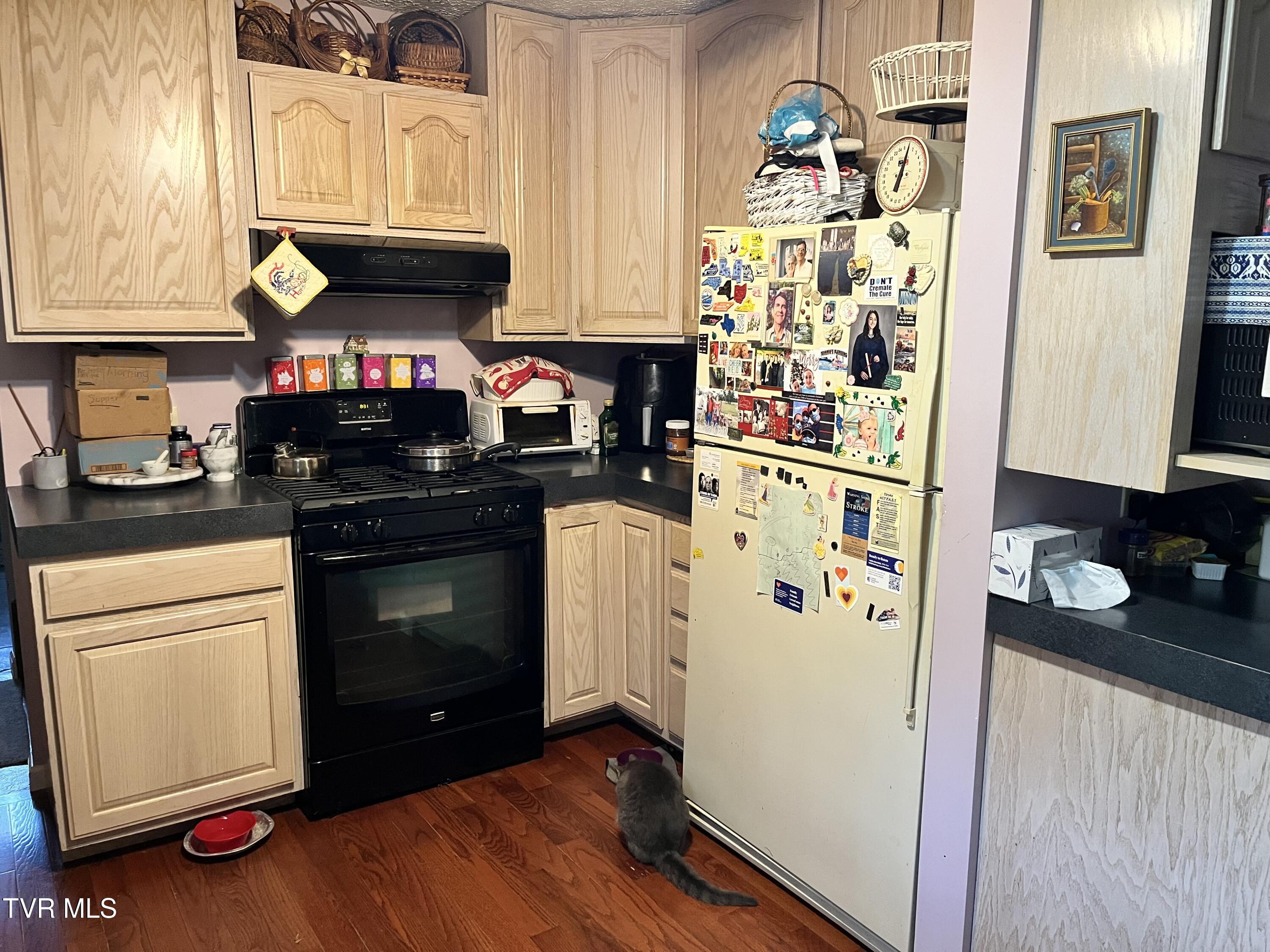 179 Carl Taylor Road Elizabethton, TN 37643 - Photo 8 of 31 Kitchen