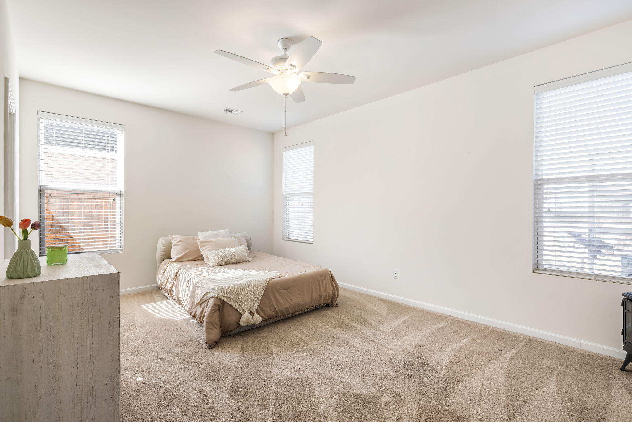 1148 Flyway Road Summerville, SC 29483 - Photo 5 of 19 Primary Bedroom Downstairs