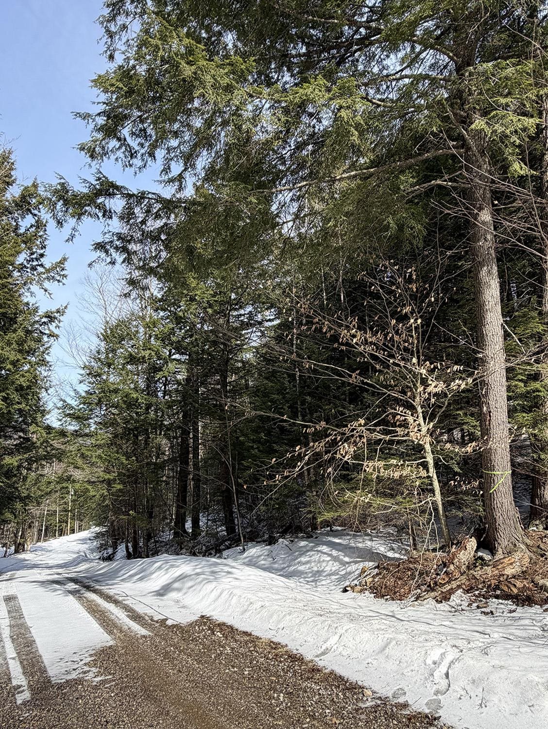 0 Hodgdon Road Alexandria, NH 03222 - Photo 8 of 12