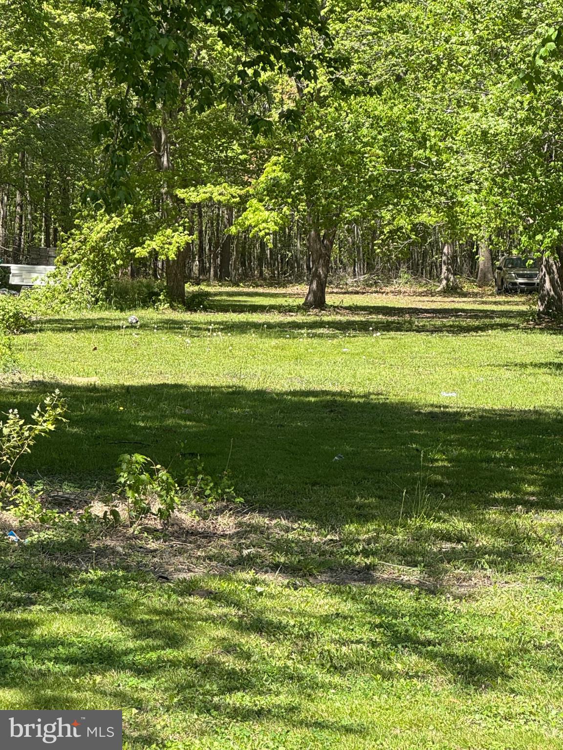 2389 White Oak Road Dover, DE 19901 - Photo 27 of 34 Lush green retreat under dappled light.