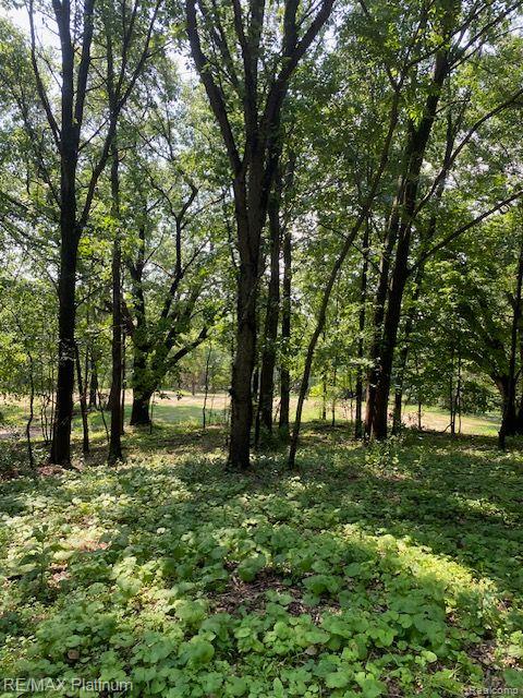 7 Sleaford-parcel 7 - 2 Acres Road Howell, MI 48843 - Photo 24 of 45