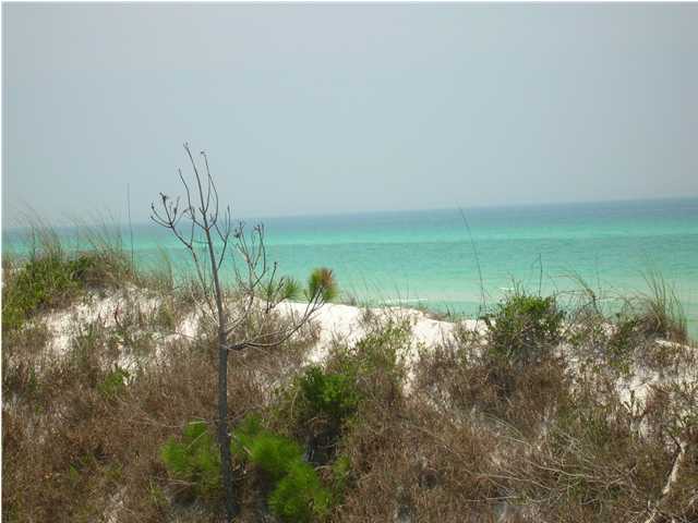 100 Park Place Ave Inlet Beach Inlet Beach, FL 32461 - Photo 11 of 27 Additional Photo