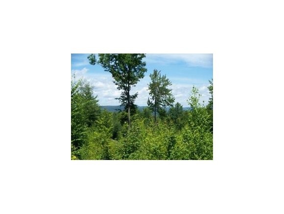 12 A Rt Plainfield, NH 03781 - Photo 1 of 1