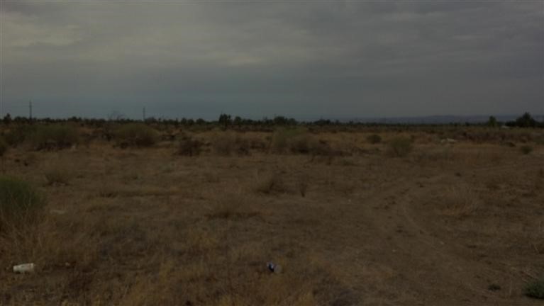 0 Smoke Tree Road Phelan, CA 92371 - Photo 1 of 1