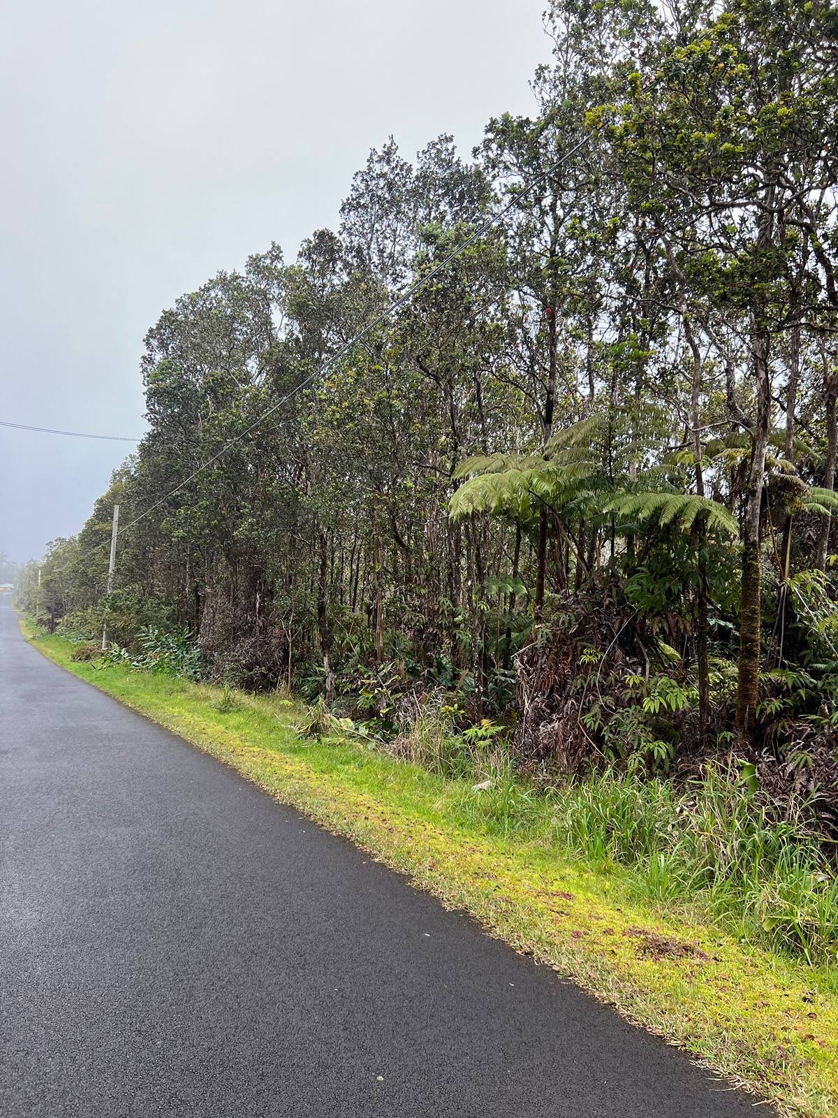 709 Alaula Street Volcano, HI 96785 - Photo 2 of 8 Gallery Image 2