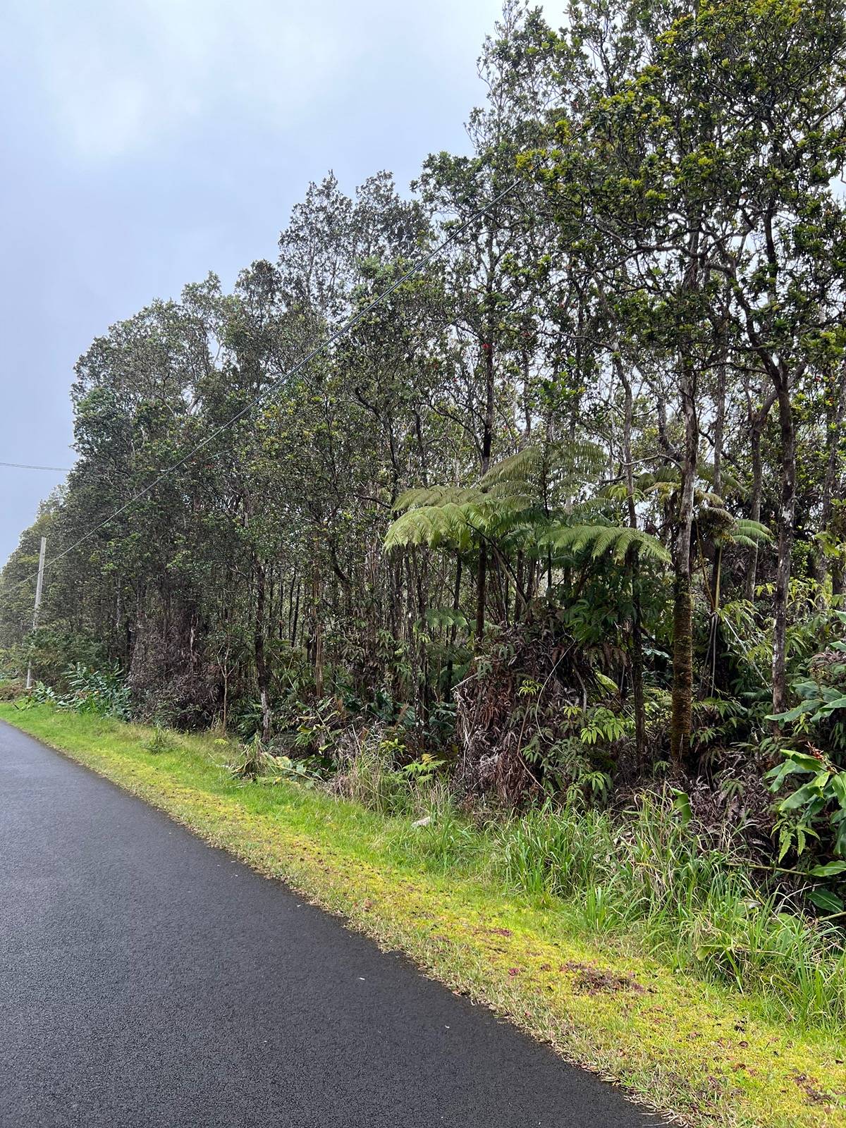 709 Alaula Street Volcano, HI 96785 - Photo 3 of 8 Gallery Image 3