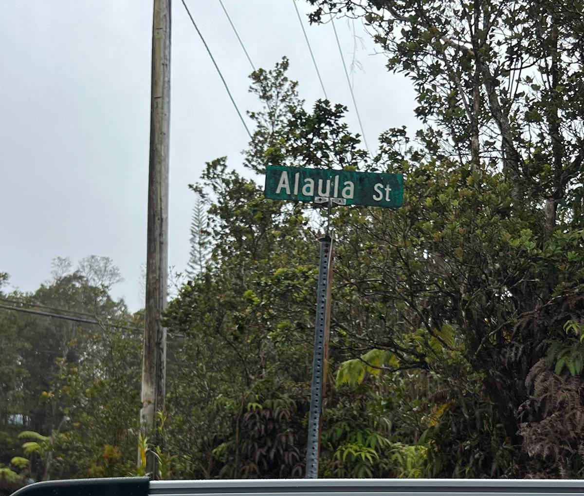 709 Alaula Street Volcano, HI 96785 - Photo 4 of 8 Gallery Image 4