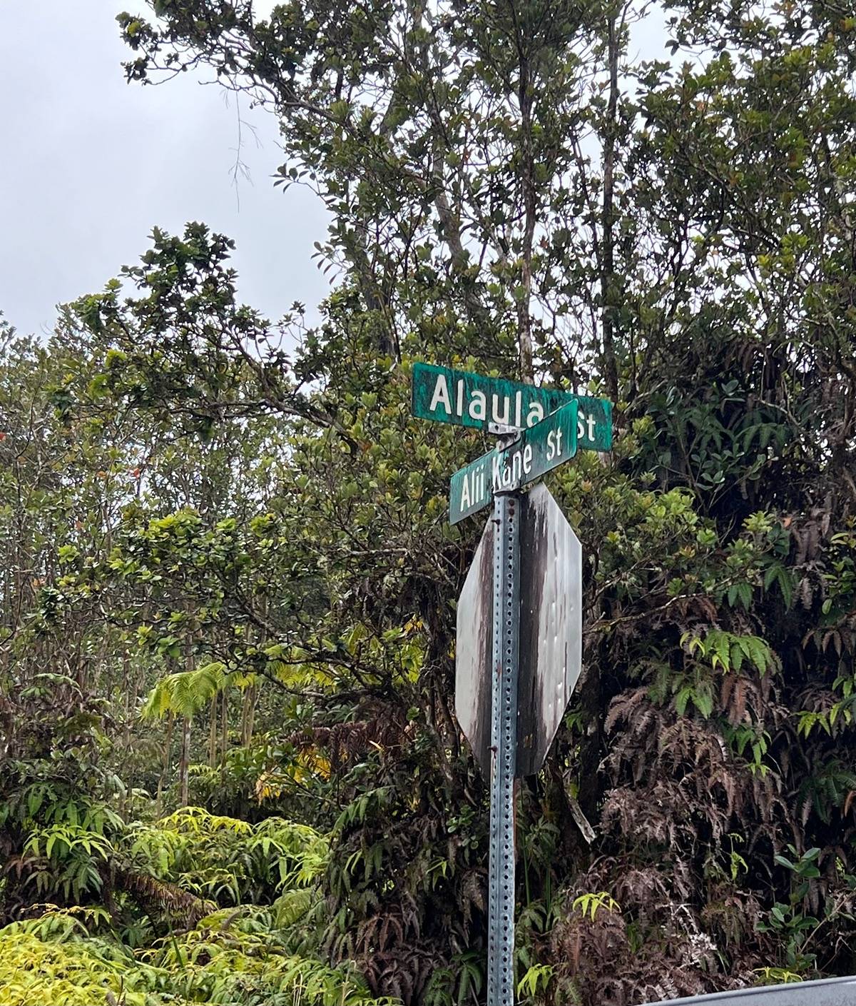 709 Alaula Street Volcano, HI 96785 - Photo 5 of 8 Gallery Image 5