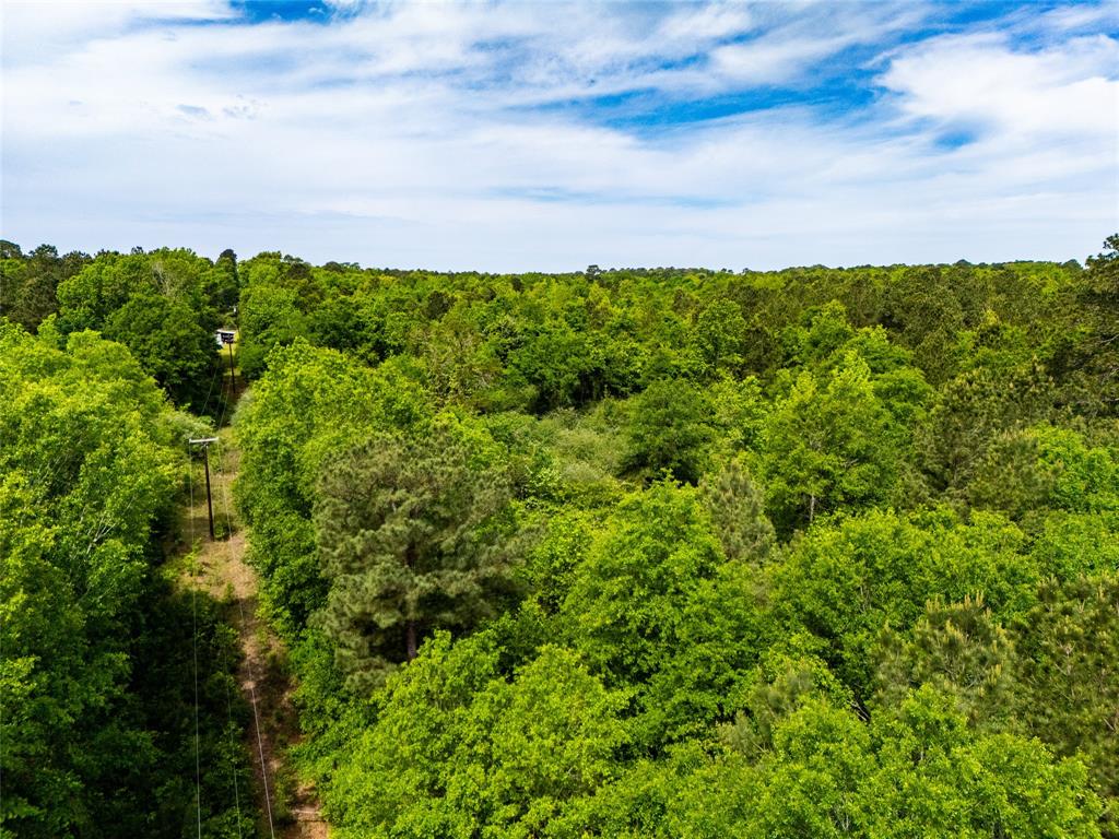 Tbd White Oak Road Big Sandy, TX 75755 - Photo 19 of 24