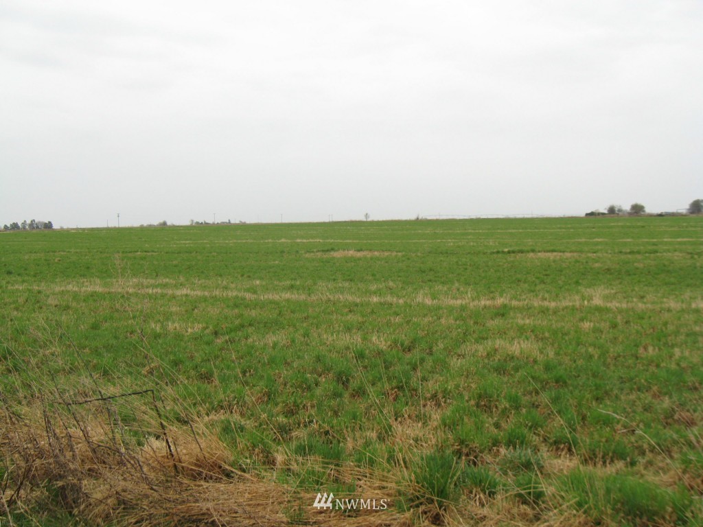 7337 Rd H Northwest Ephrata, WA 98823 - Photo 2 of 7 Gallery Image 2