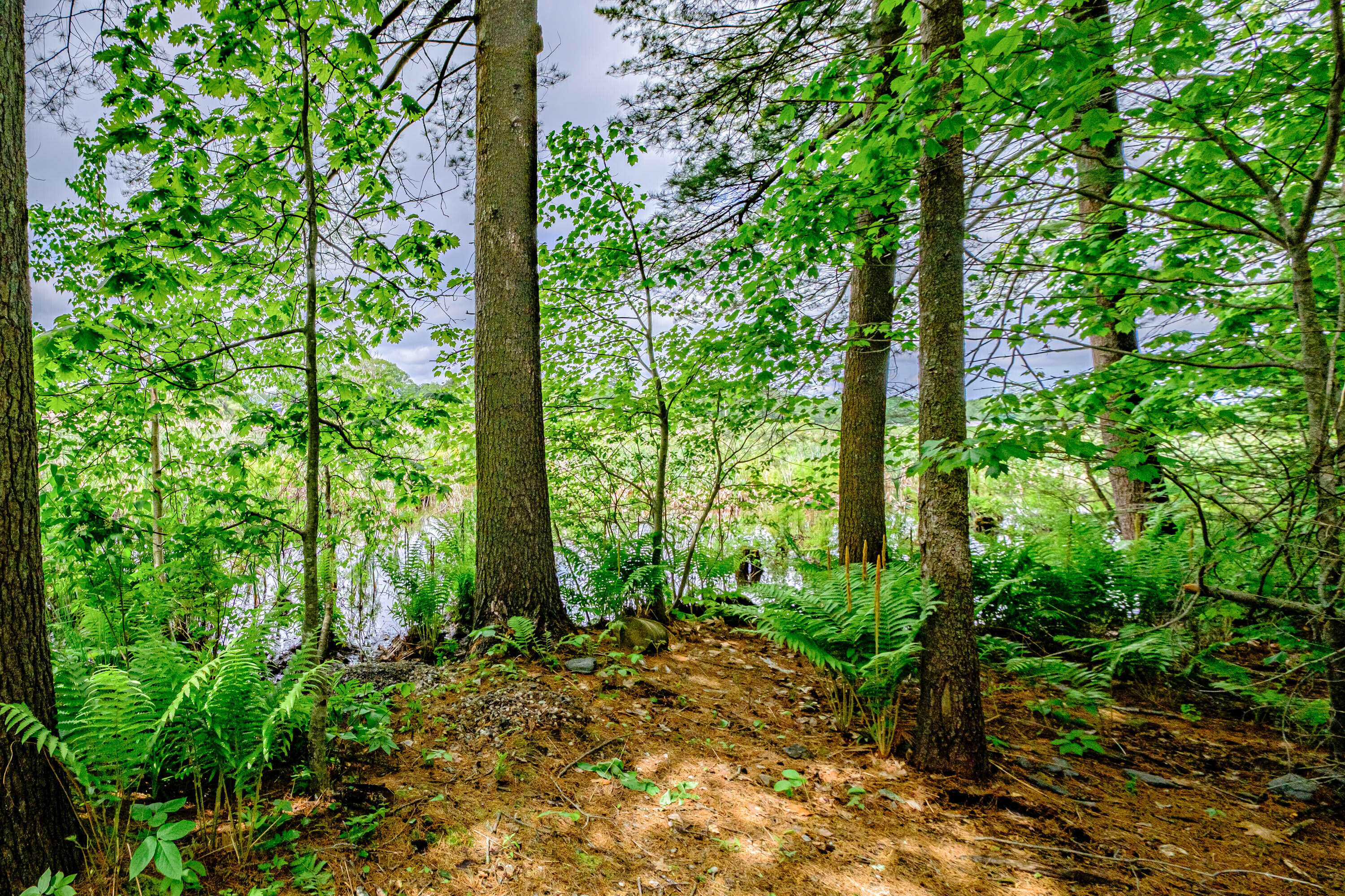 33 Old County Road Scarborough, ME 04074 - Photo 43 of 59 20220602gp-64075