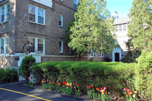 a view of a garden with flowers and trees