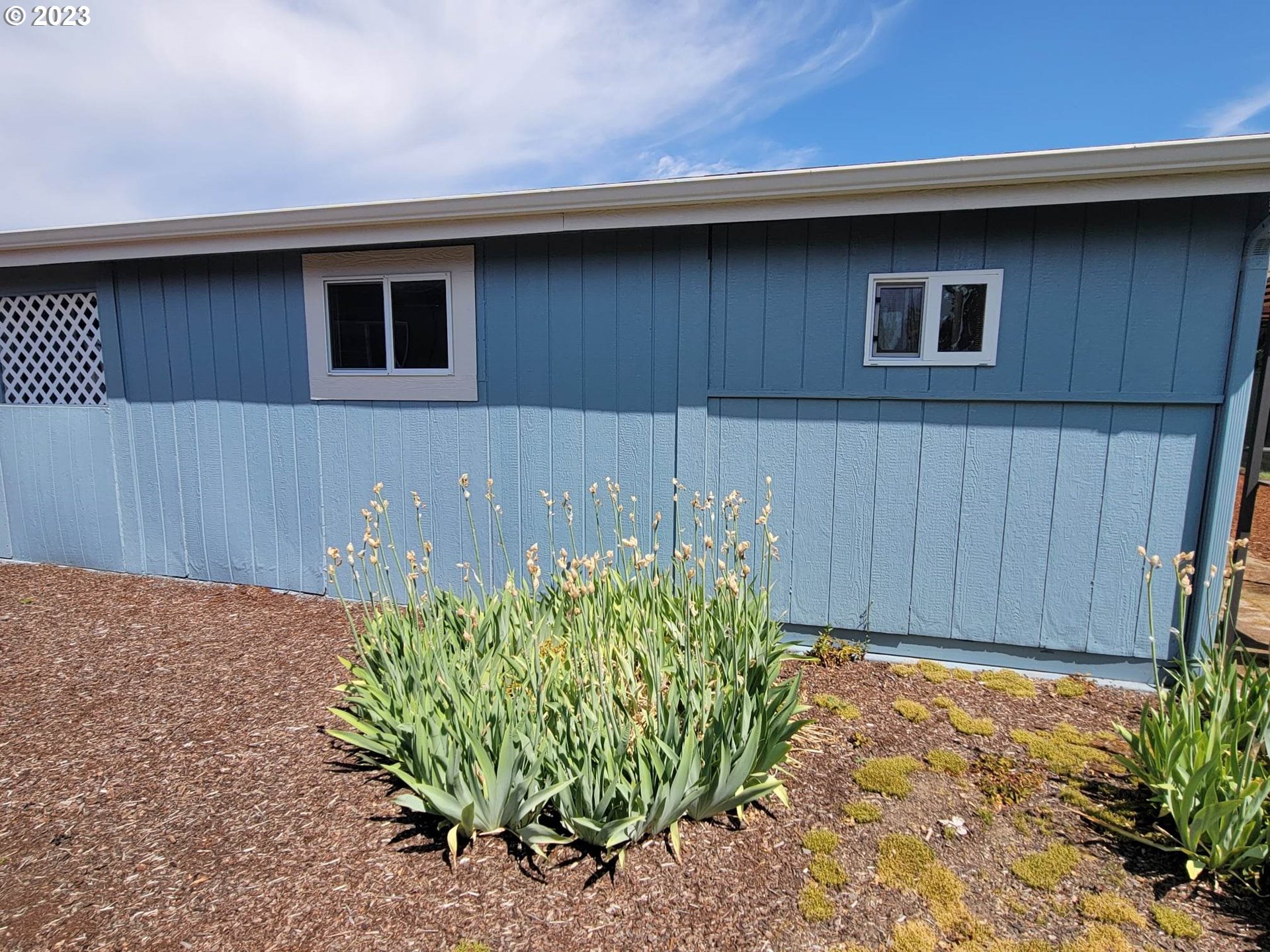 1315 Settlers Loop Forest Grove, OR 97116 - Photo 36 of 37 a backyard of a house