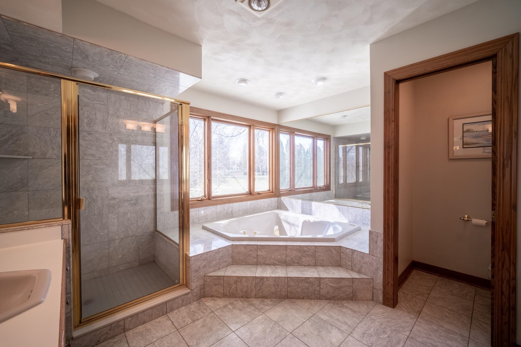 9805 Rivers Bend Drive Roscoe, IL 61073 - Photo 20 of 49 a bathroom with a tub shower and mirror
