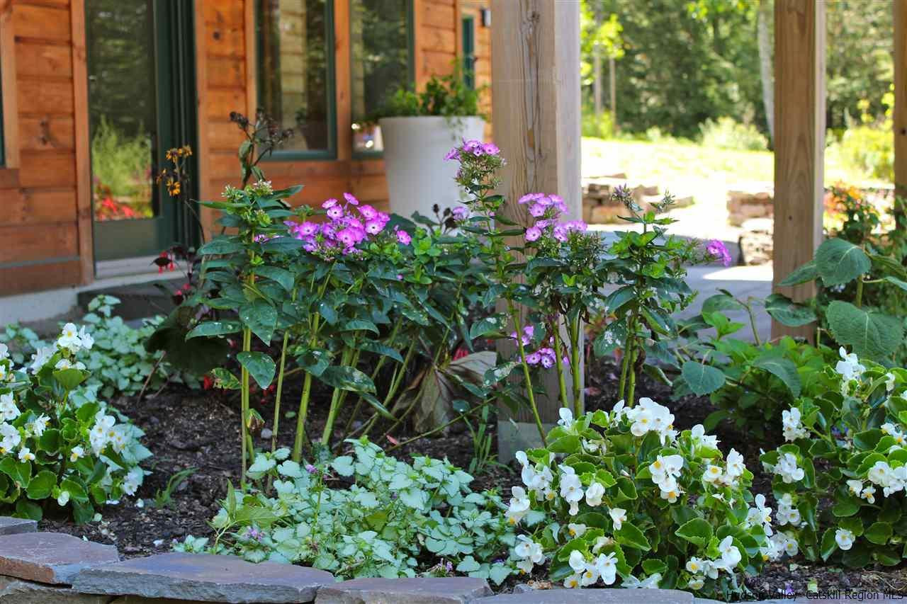 90 High Rocks Road Glenford, NY 12433 - Photo 25 of 34 a view of a flower in a garden