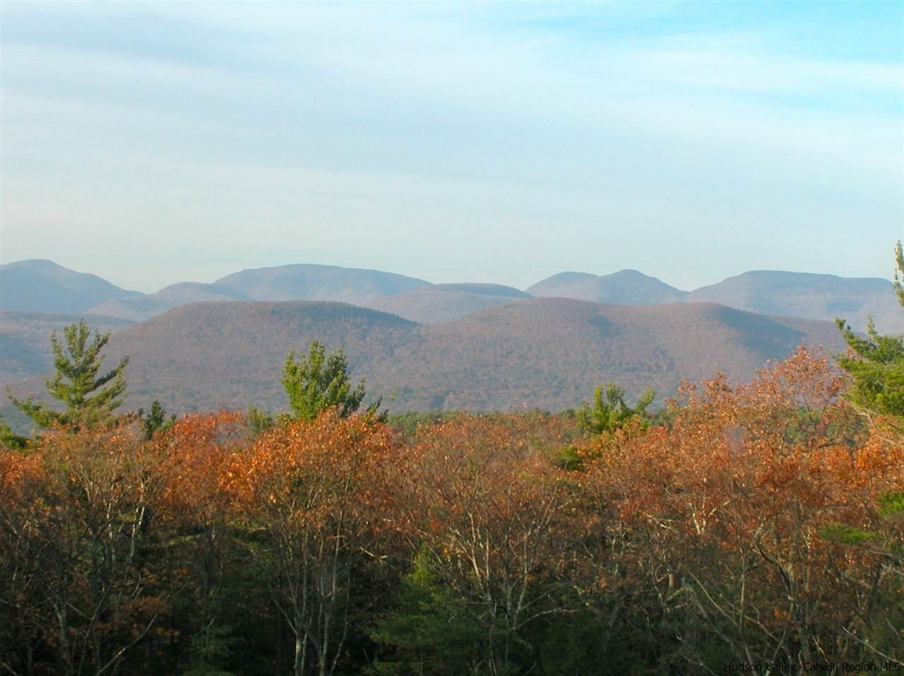90 High Rocks Road Glenford, NY 12433 - Photo 4 of 34 a view of a lake in middle of forest