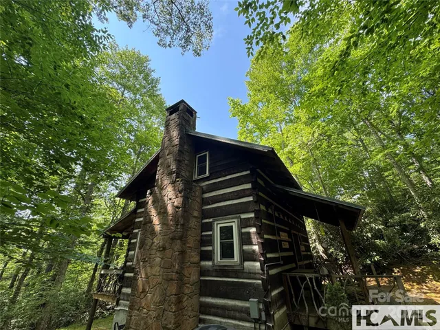 a view of a forest with trees