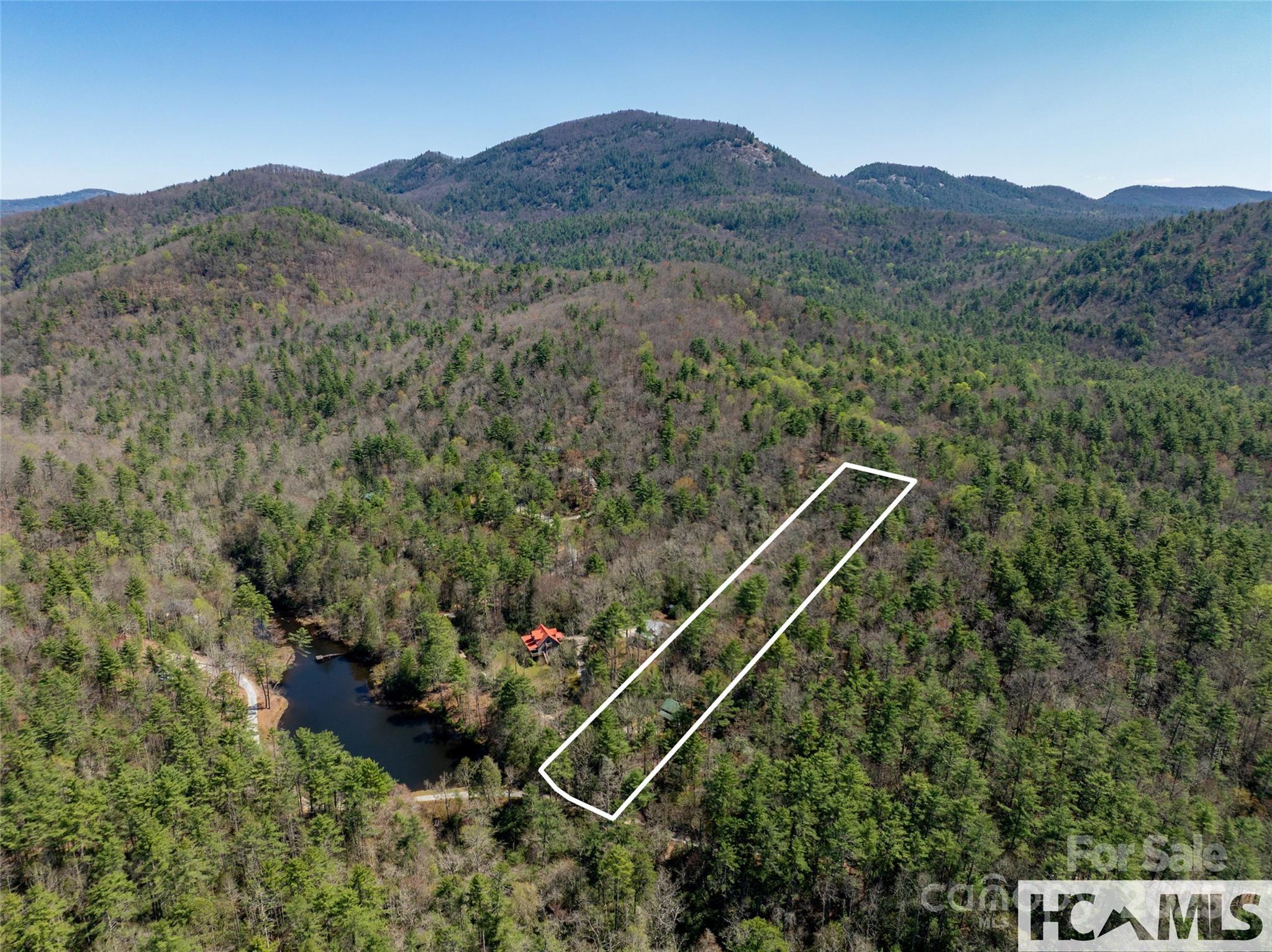 1524 McCall Road Cashiers, NC 28717 - Photo 28 of 35 a view of a forest with a mountain