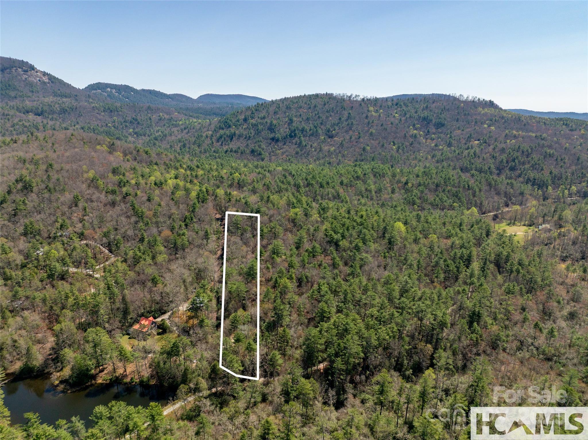 1524 McCall Road Cashiers, NC 28717 - Photo 29 of 35 a view of a forest with a forest