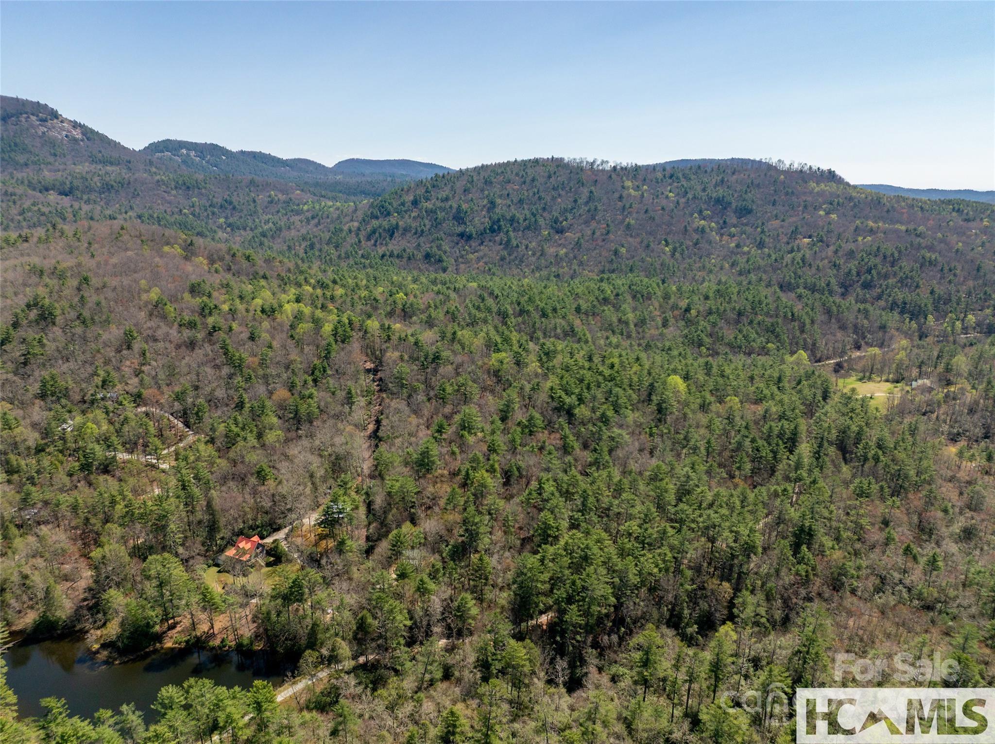 1524 McCall Road Cashiers, NC 28717 - Photo 30 of 35 a view of a forest with a street