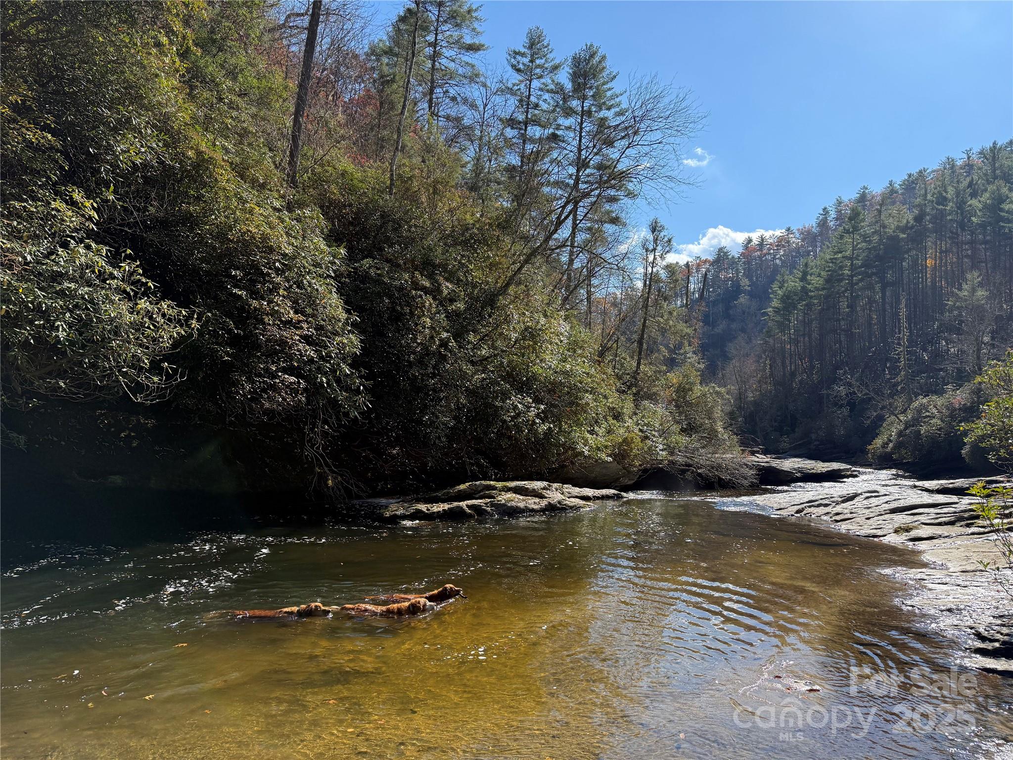 1524 McCall Road Cashiers, NC 28717 - Photo 32 of 35 a view of water with trees