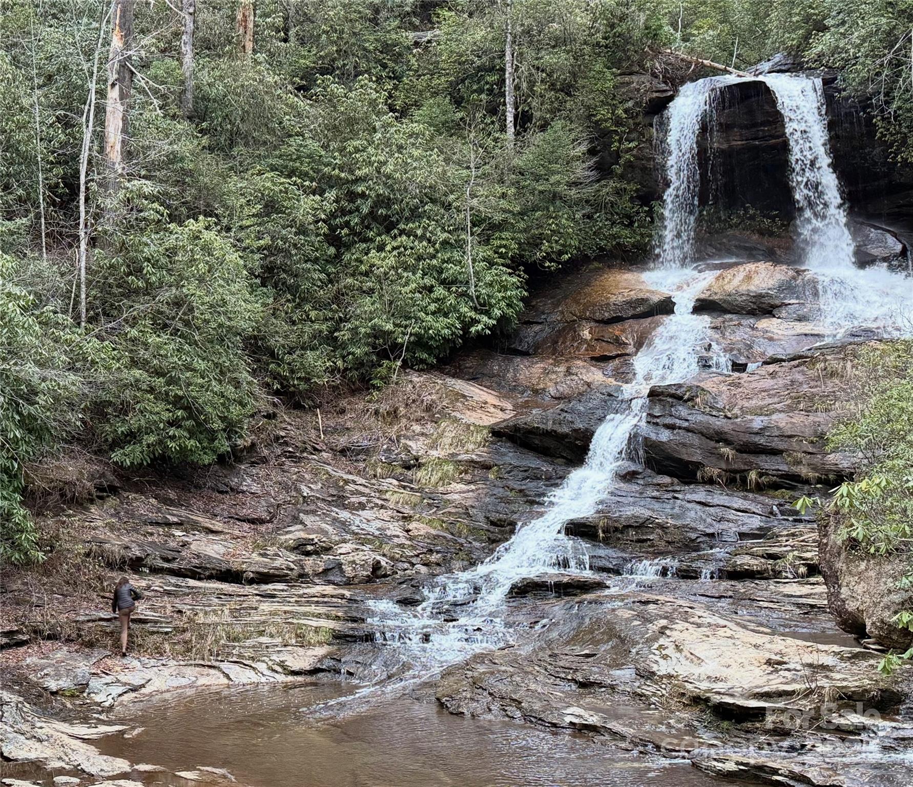 1524 McCall Road Cashiers, NC 28717 - Photo 33 of 35 a view of backyard with outdoor space