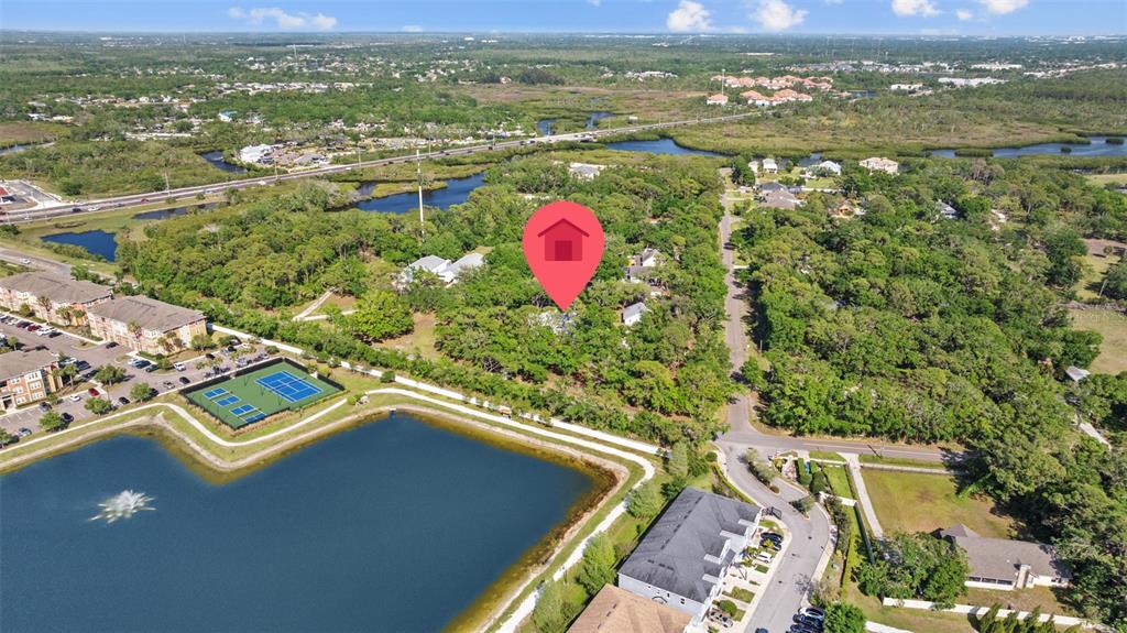 8303 Double Branch Road Tampa, FL 33635 - Photo 84 of 93 Gallery Image 84