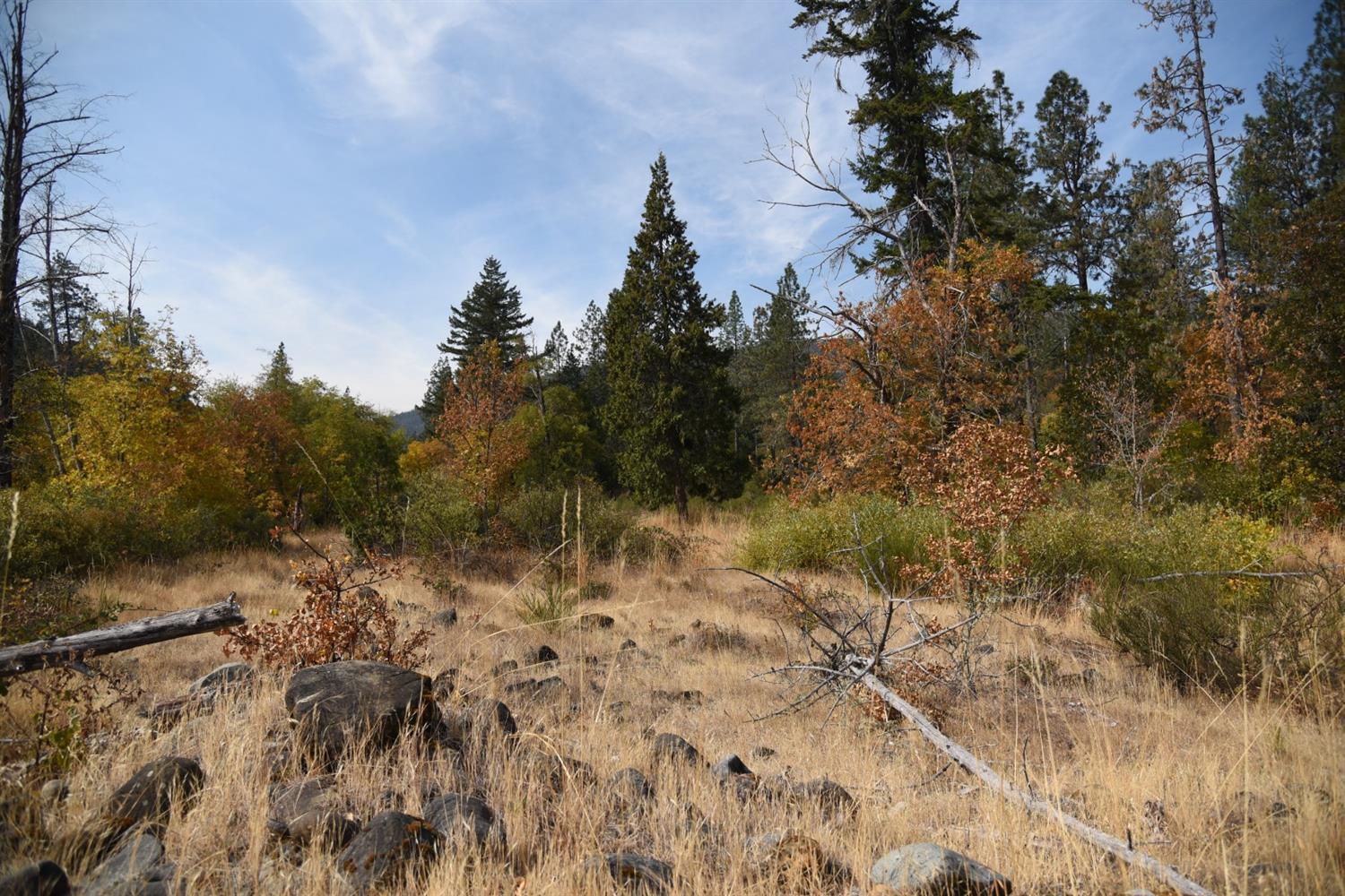 0 Lone Mountain Road, Unit TL601 O'Brien, OR 97534 - Photo 2 of 5 Additional Photo