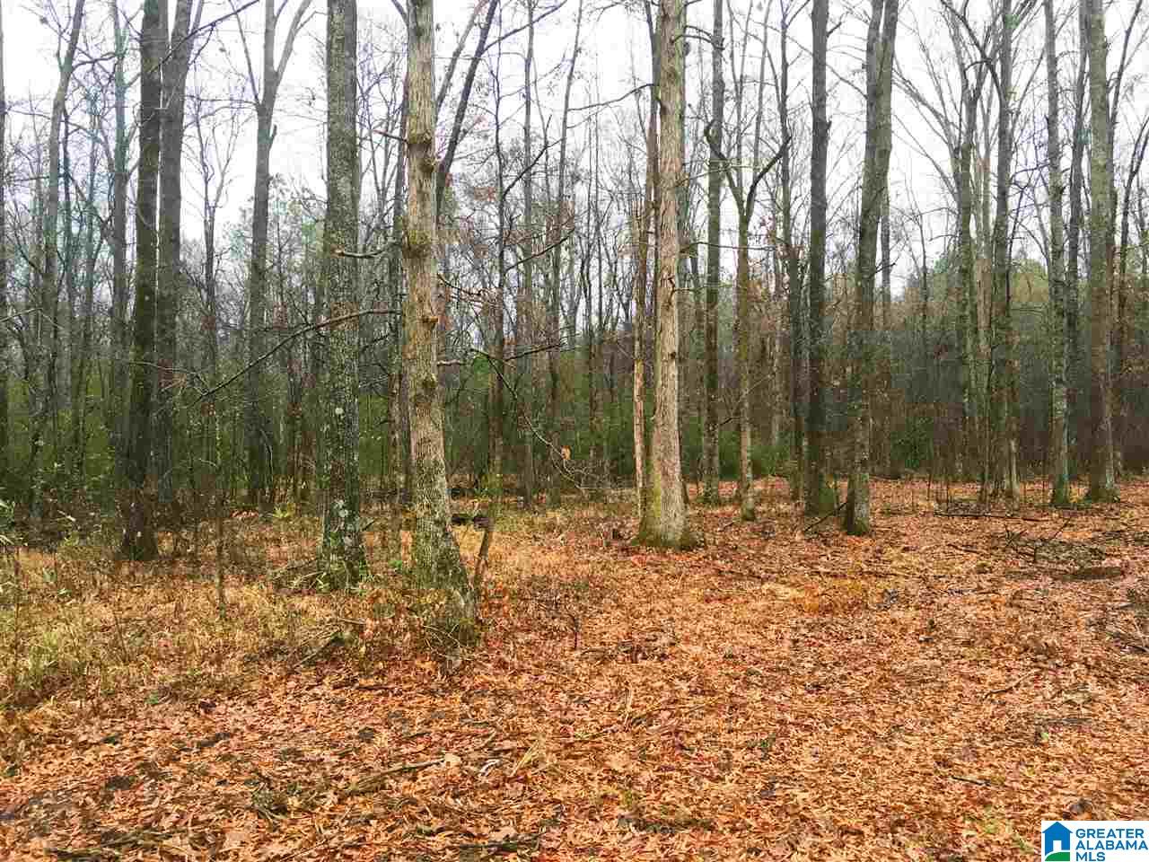 400 Chelsea Road, Unit 400 Columbiana, AL 35051 - Photo 2 of 6