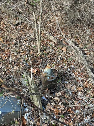 $29,500 | 0 Highway 72, Bunker, MO 63629