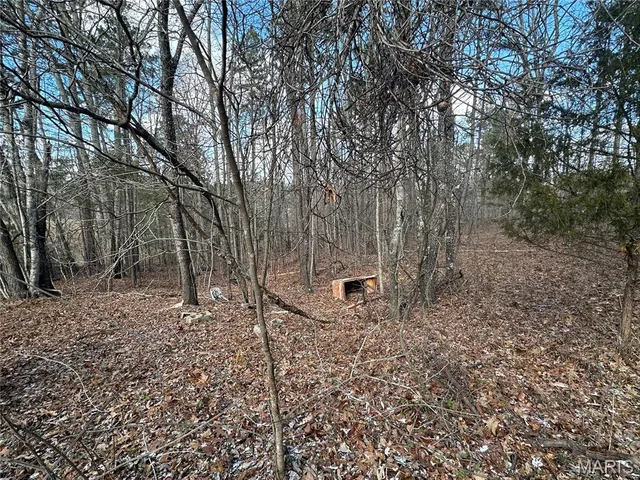 $29,500 | 0 Highway 72, Bunker, MO 63629