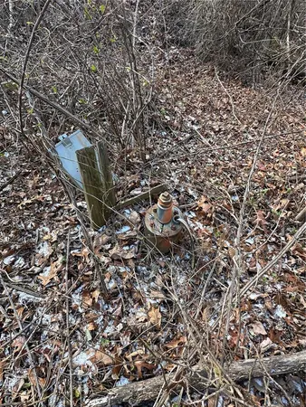 $29,500 | 0 Highway 72, Bunker, MO 63629