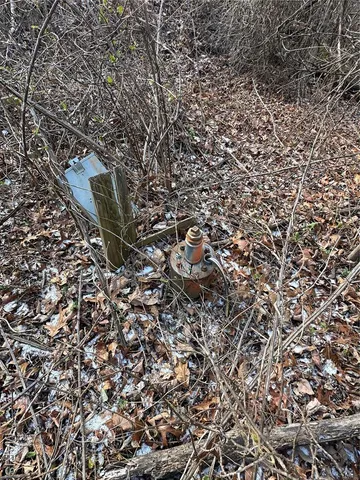 $29,500 | 0 Highway 72, Bunker, MO 63629