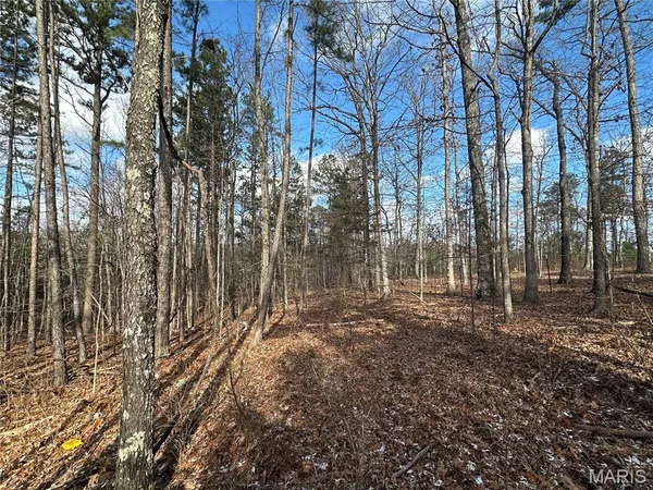 $29,500 | 0 Highway 72, Bunker, MO 63629