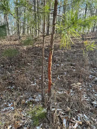 $29,500 | 0 Highway 72, Bunker, MO 63629