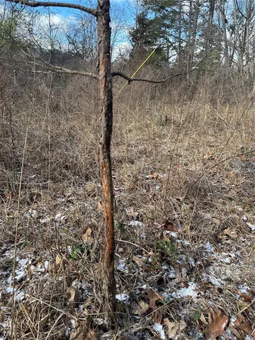 $29,500 | 0 Highway 72, Bunker, MO 63629