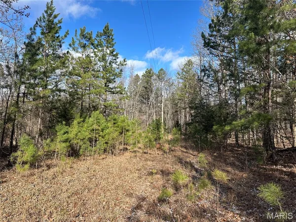 $29,500 | 0 Highway 72, Bunker, MO 63629