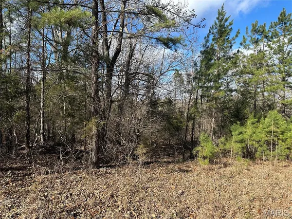 $29,500 | 0 Highway 72, Bunker, MO 63629