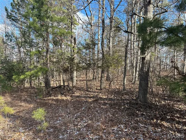 $29,500 | 0 Highway 72, Bunker, MO 63629