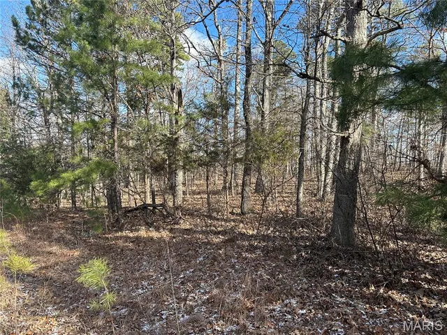 $29,500 | 0 Highway 72, Bunker, MO 63629