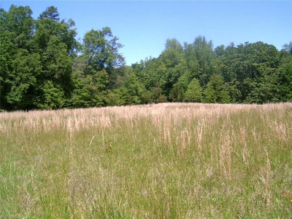 7204 Bobby Jean Road Julian, NC 27283 - Photo 2 of 10 Gallery Image 2