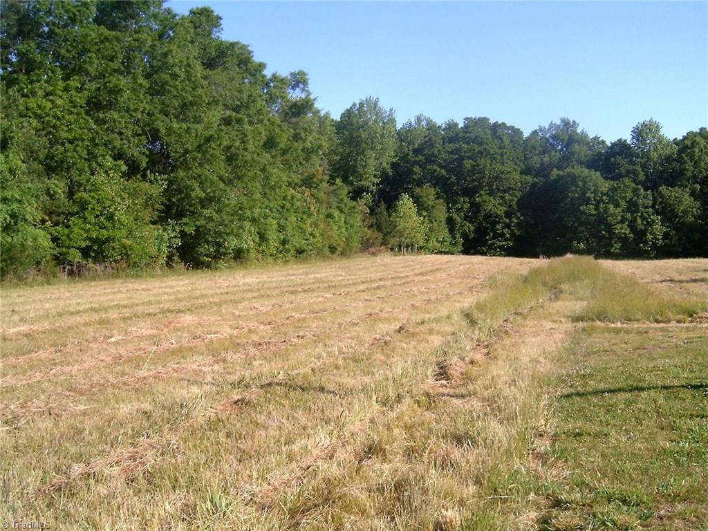 7204 Bobby Jean Road Julian, NC 27283 - Photo 4 of 10 Gallery Image 4