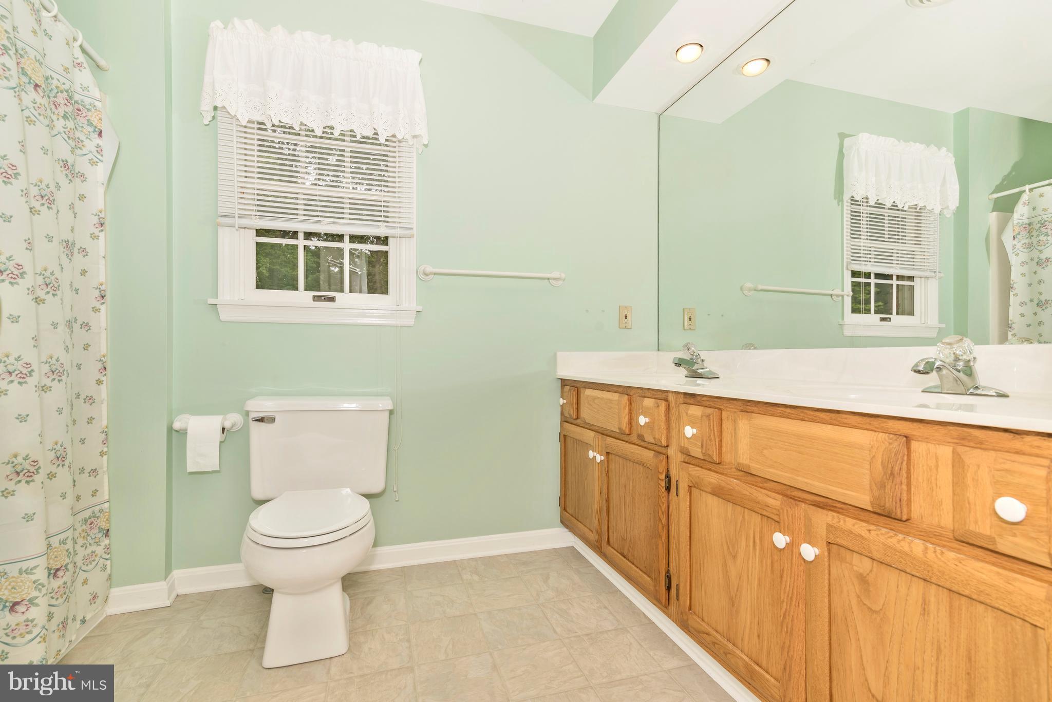 3623 Fry Road Jefferson, MD 21755 - Photo 24 of 30 a bathroom with a sink toilet and shower
