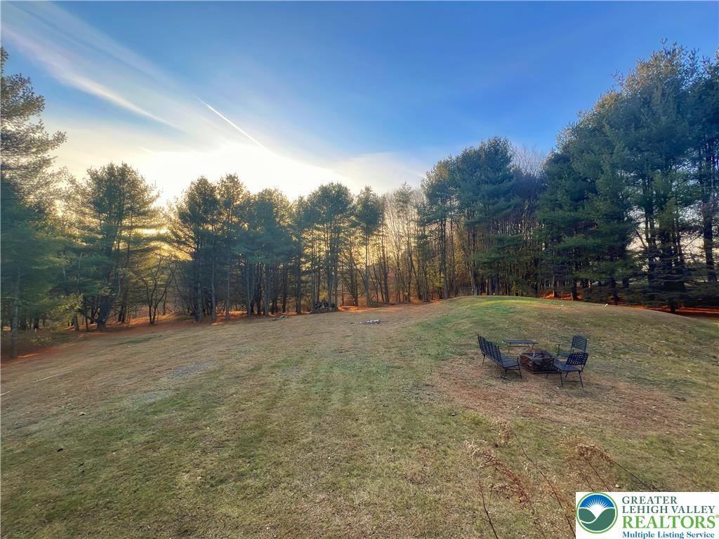 90 Halina Way Kunkletown, PA 18058 - Photo 6 of 32 a view of a backyard with large trees