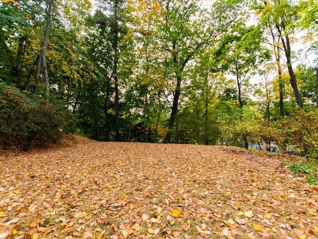 9 Sylvan Road Wellesley, MA 02481 - Photo 7 of 8 a view of a yard with a tree