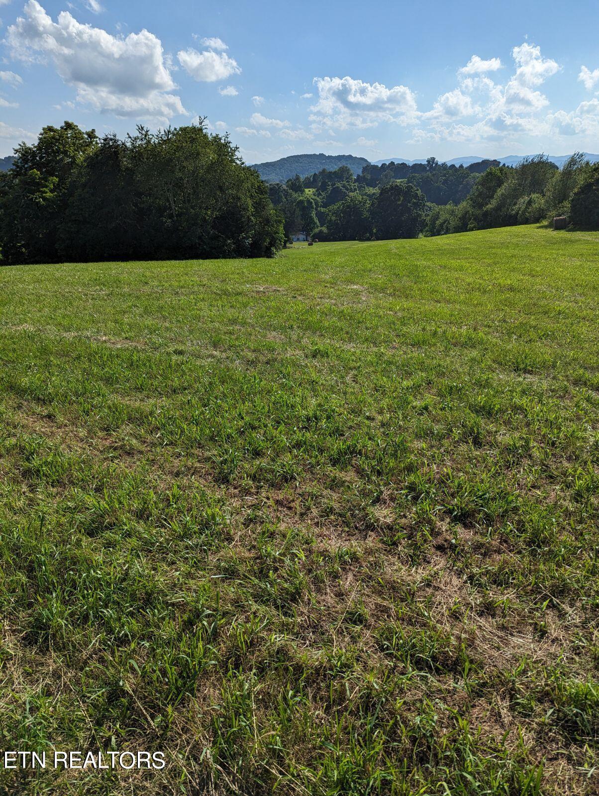 4109 Highway 92 Rutledge, TN 37861 - Photo 12 of 41 1000000456