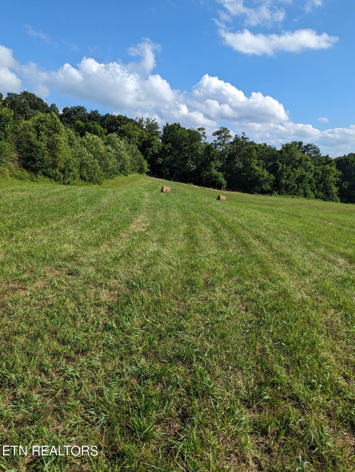 4109 Highway 92 Rutledge, TN 37861 - Photo 13 of 41 1000000455